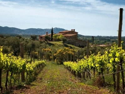 Ampurdan (Gerona). Vino y gastronomía.